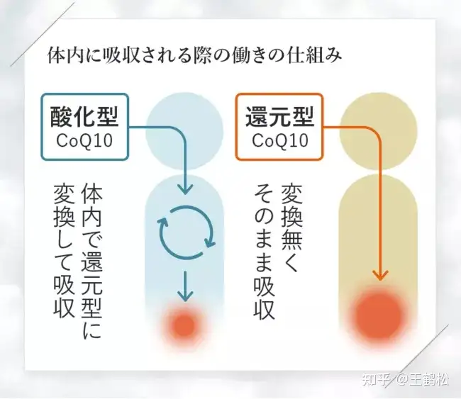 专栏】海外健康产品巡礼（第206期） - 知乎