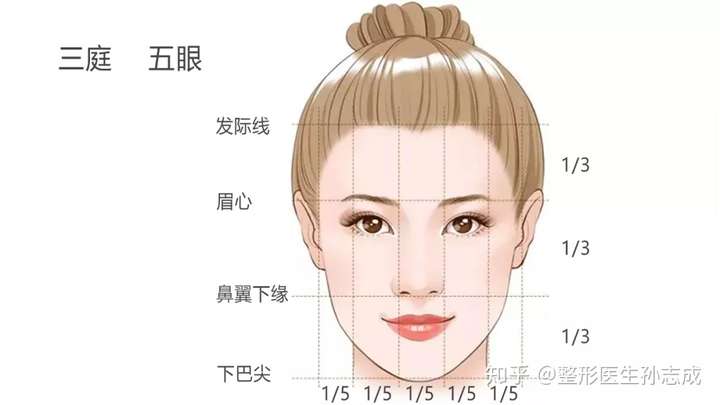 面部美学的标准赏析