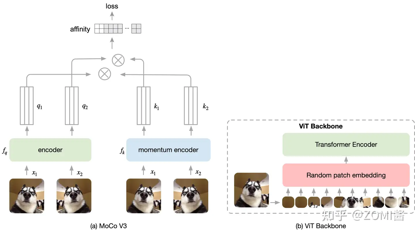 MoCo V3：视觉自监督迎来Transformer - 知乎