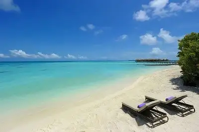 上海旅行社哪个好？-上海旅游公司排名前十名(图8)