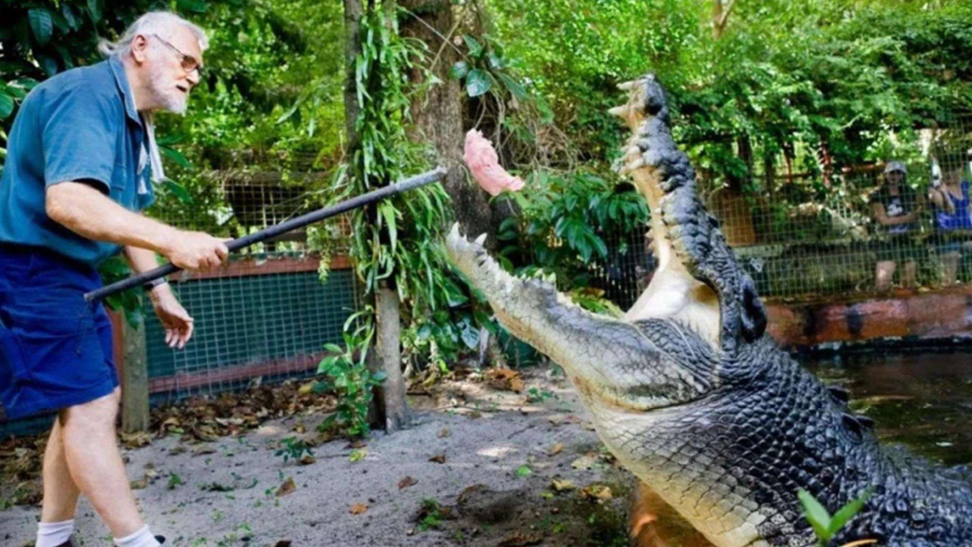 昆士兰男子与巨型鳄鱼殊死搏斗 幸运逃生 - 澳洲生活网
