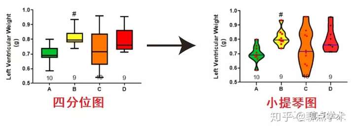 统计图 如何绘制小提琴图?