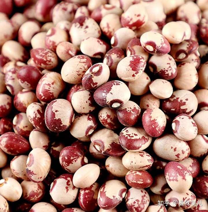 有一种豆子形状和黄豆差不多但是表皮是黄底有褐色花纹就像京剧脸谱似