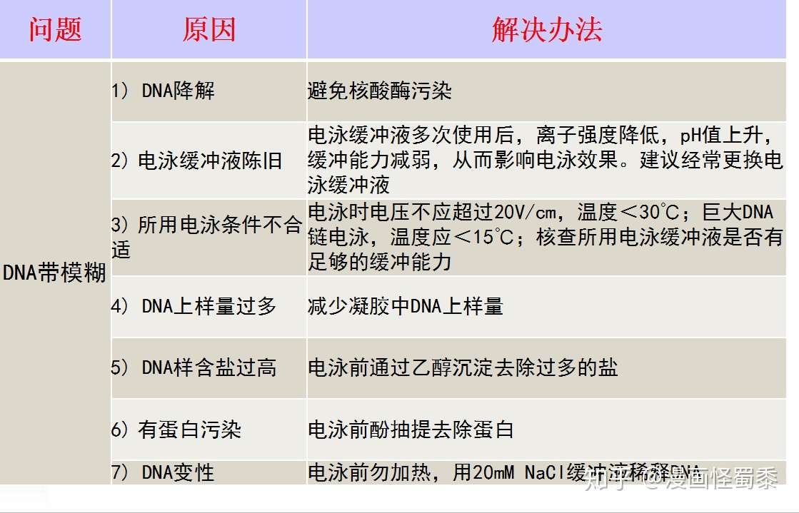 Dna电泳常见问题分析及解决方案 知乎