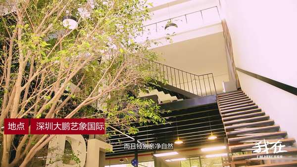 他远离深圳闹市区盖起400㎡的房子 工作生活两不误 - 知乎
