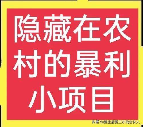 农村不起眼的商机（开个不愁销路的小厂）