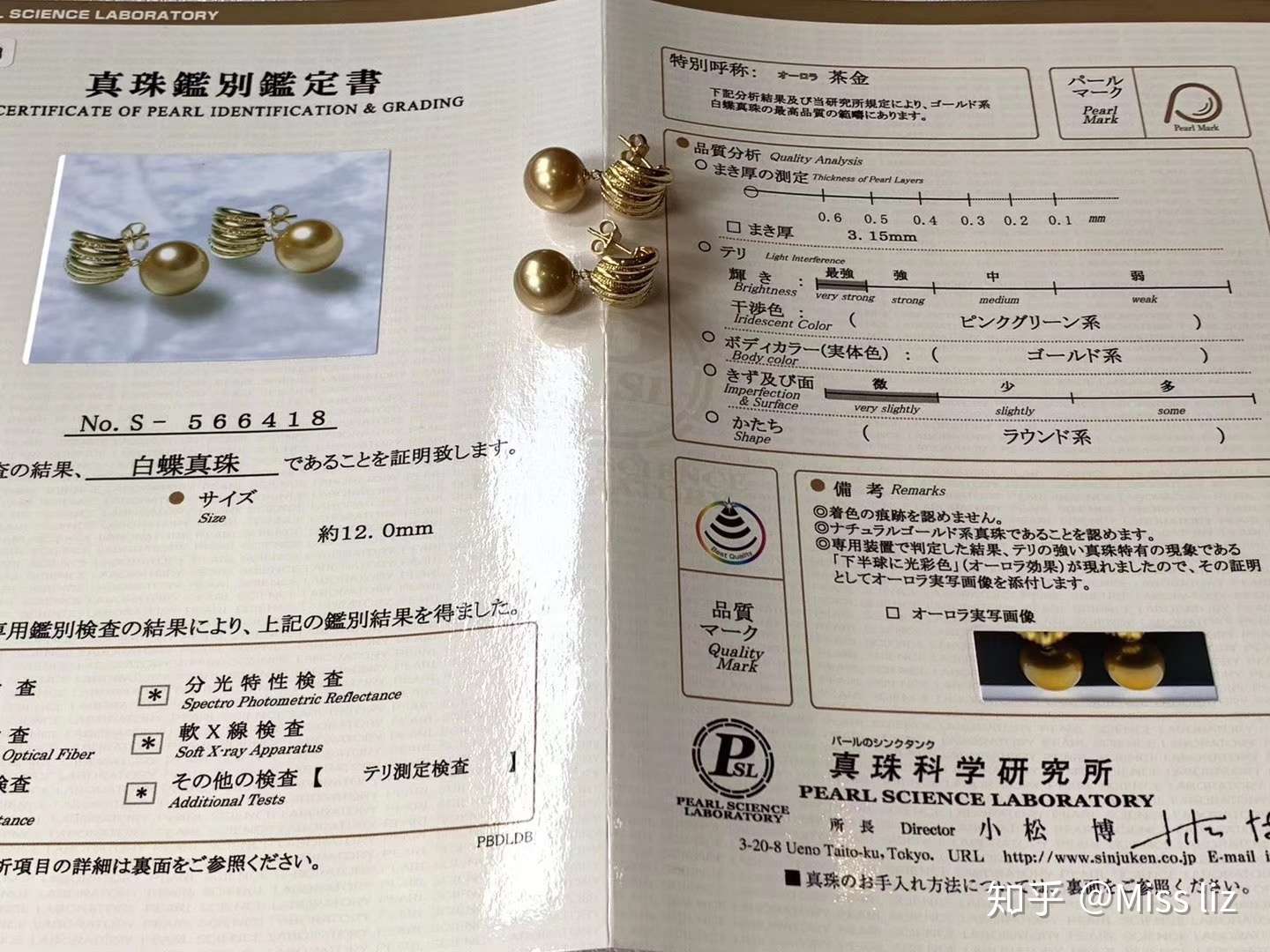 値下げ 15mm白蝶 鑑別書付き 超大きい白蝶 ネックレス Www Y3d Com Tr