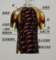 我的世界肝帝有高低之分吗