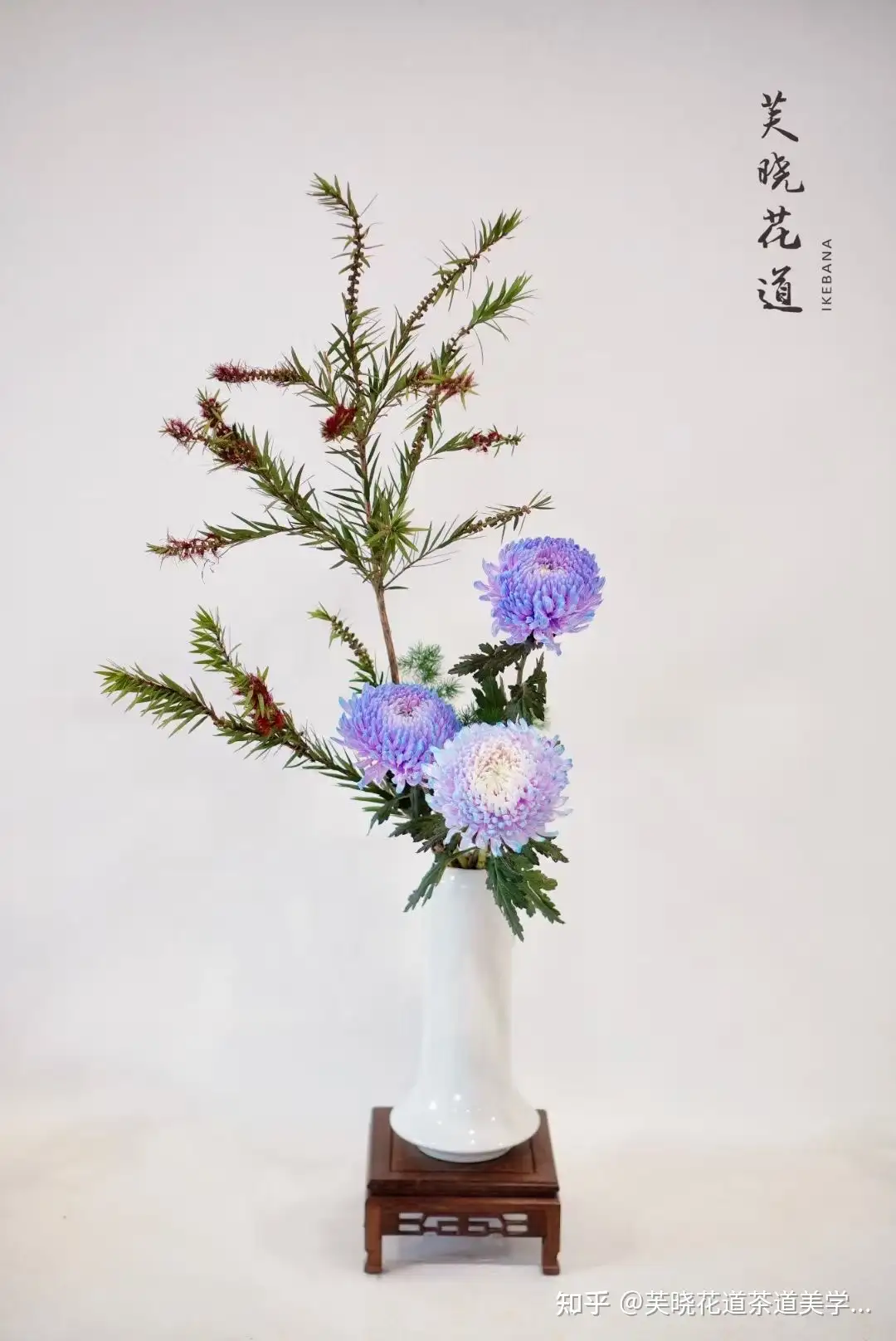 关于日本花道 一日一花 知乎