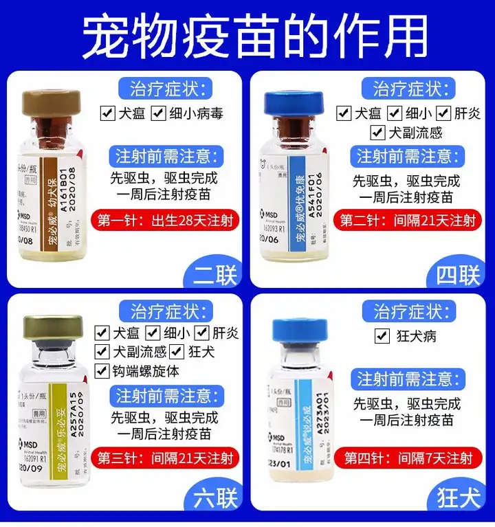 狗狗打針（狗狗打針大概多少錢）