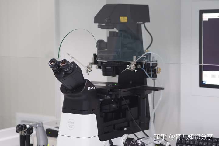 成都试管婴儿中心（中国有哪些可靠的助孕机构？）