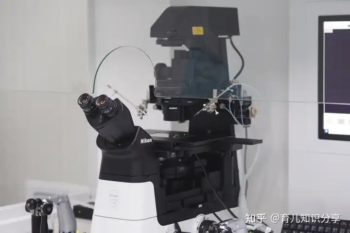 国内第三代试管医院排名（中国有哪些可靠的助孕机构？）