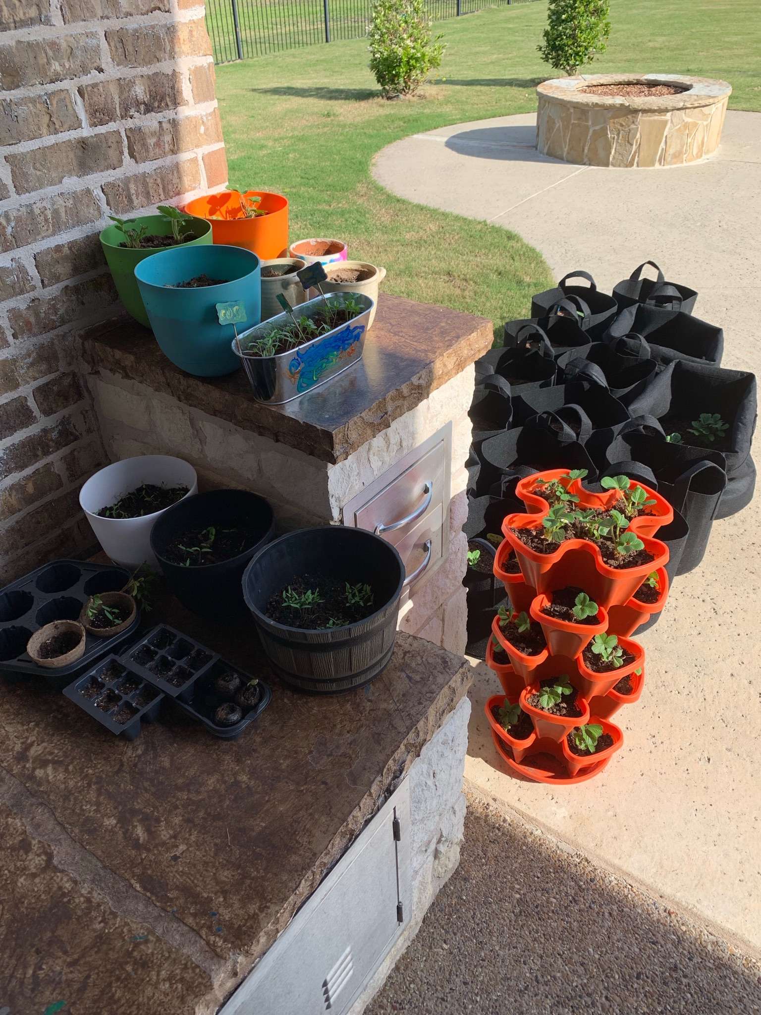 顾宇 的想法: 困居家中的日子里,阮棠迷上了园艺,每天… - 知乎