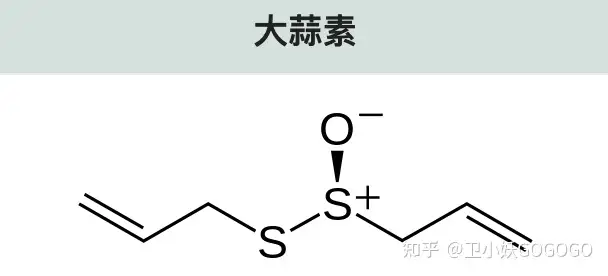 有哪些食物烤起来很好吃？(哪些食物烤出来好吃一点)