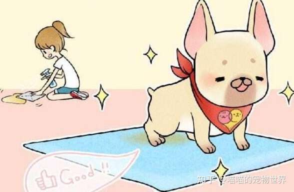 约克夏几个月来例假 知乎