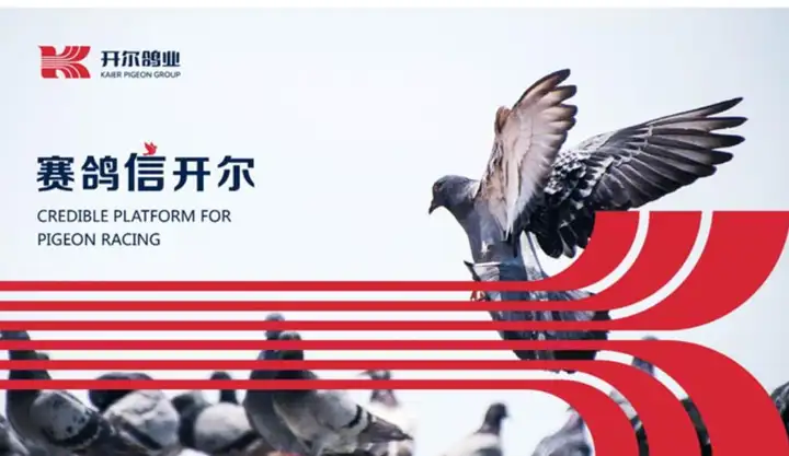 战略破局点在哪儿？品牌如何增长？产品如何打造？