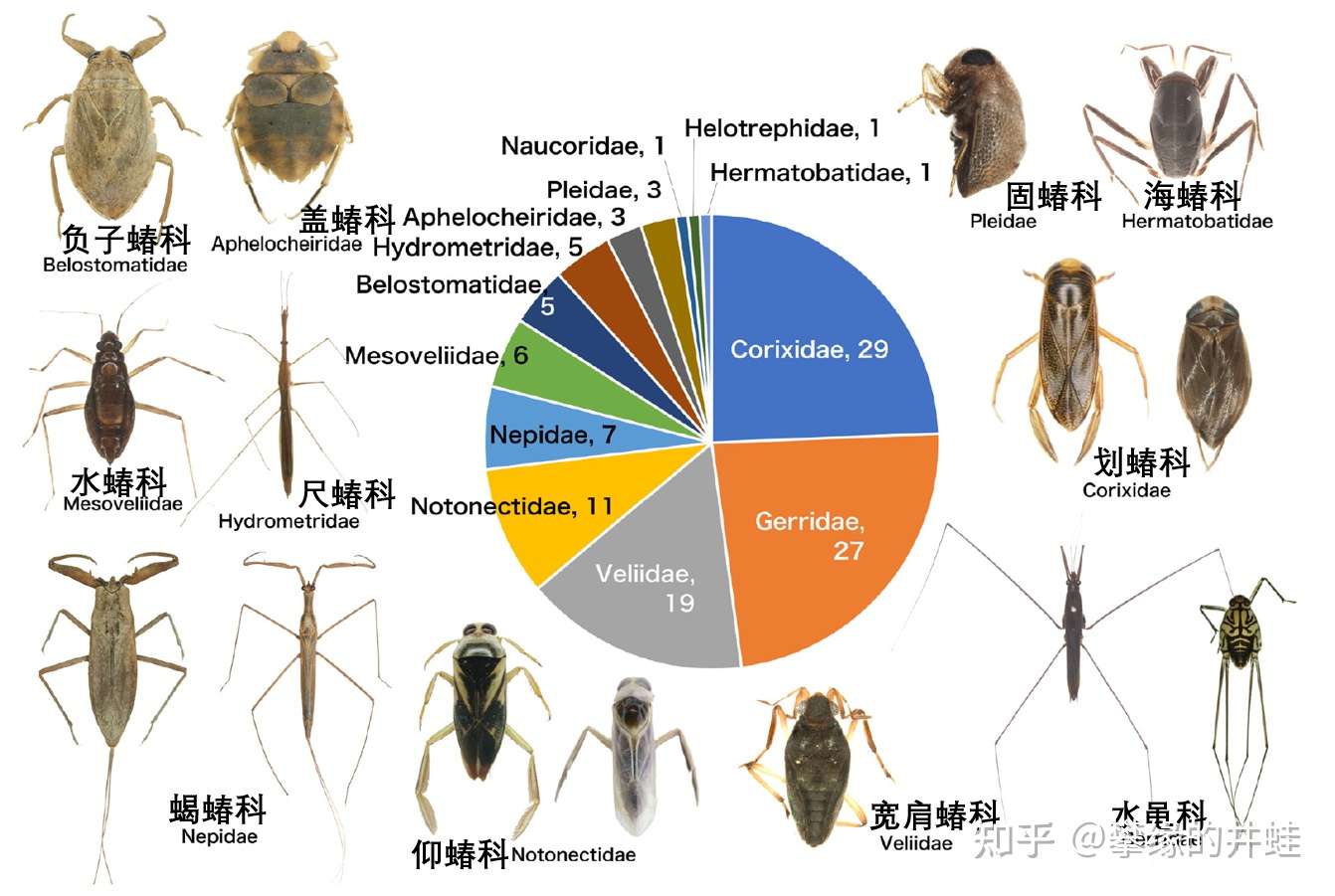 第二百七十回六足传奇12 漱石枕流 知乎