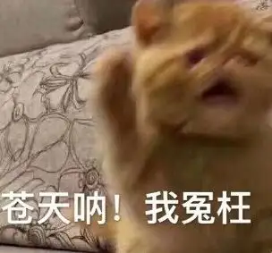 可以代替飞机杯的水果吃土学生党,也能拥有的飞机杯