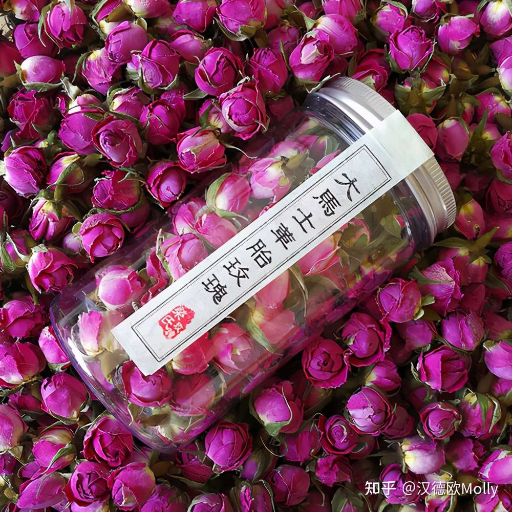 巴尔干半岛上的玫瑰王国 保加利亚 知乎