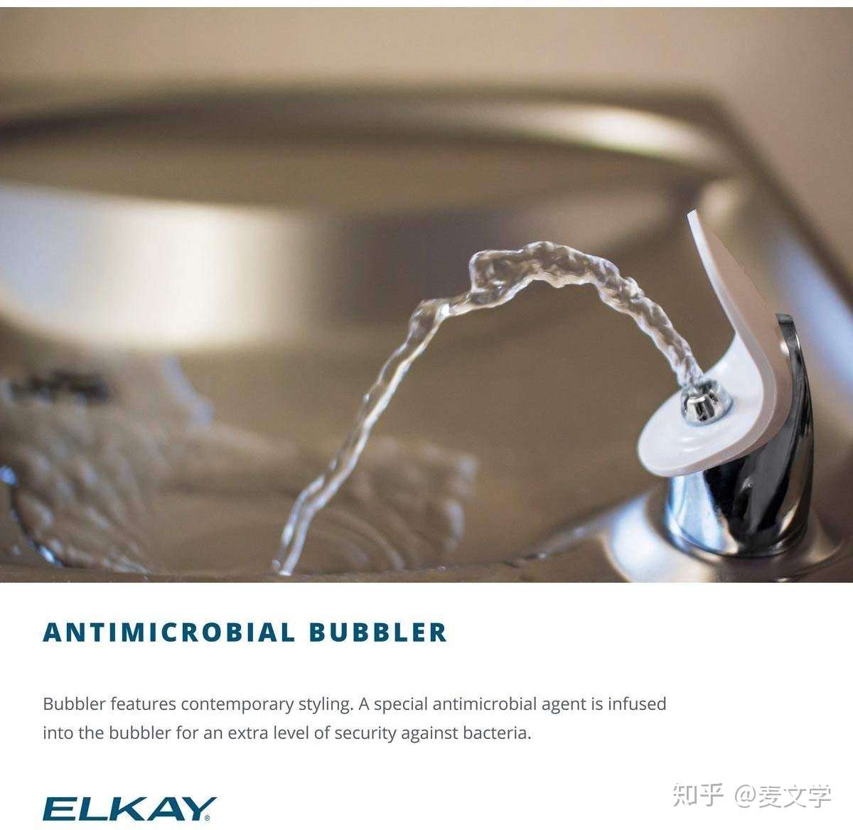 菊花台 净身器 的英文是什么 知乎