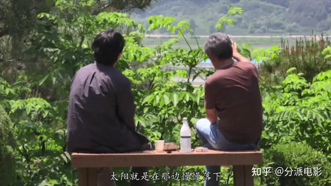 《大自然对你说了什么》豆瓣7.5,模糊的高分佳作!