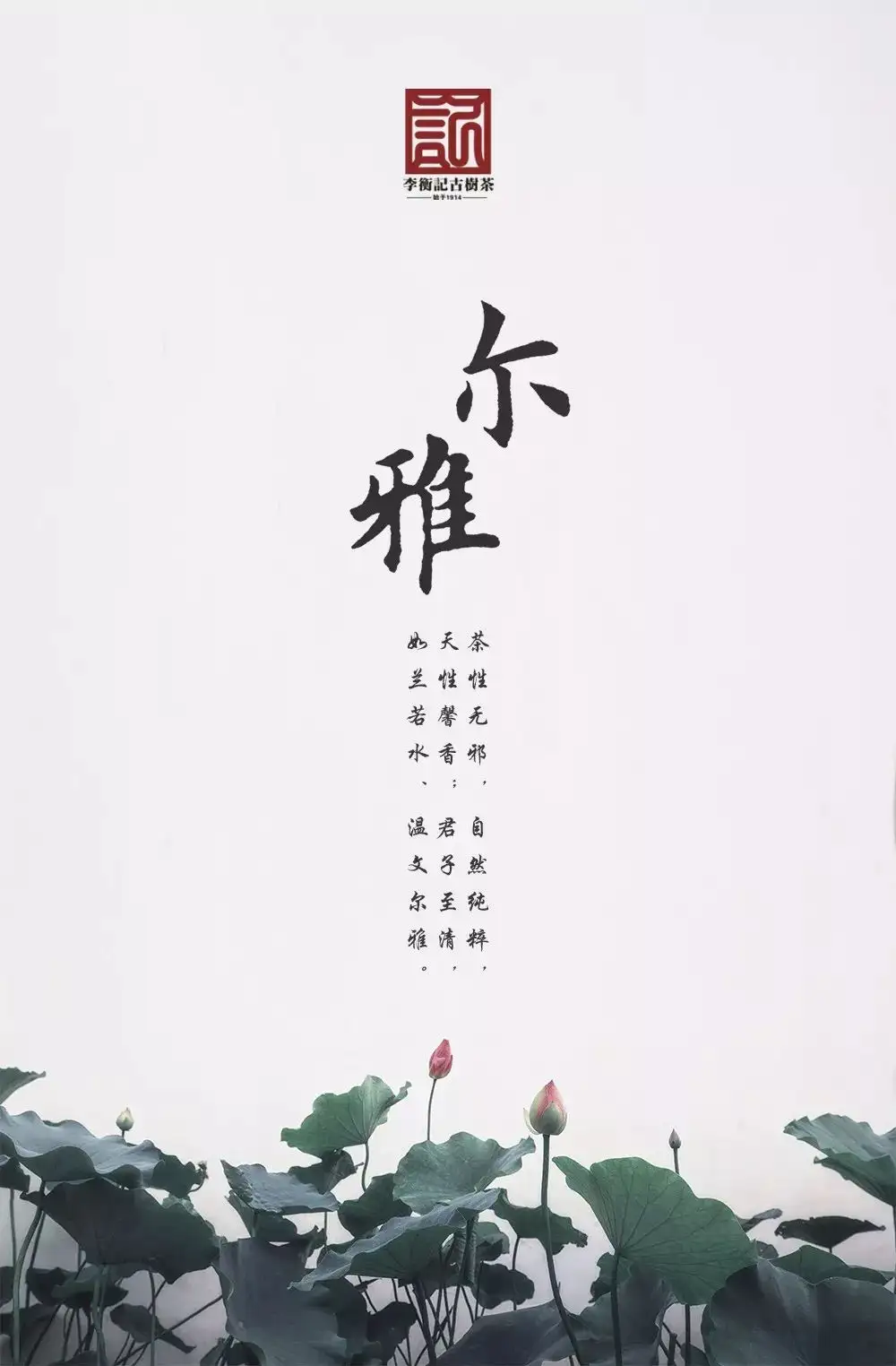 1901尔雅| 清香如君温文尔雅- 知乎