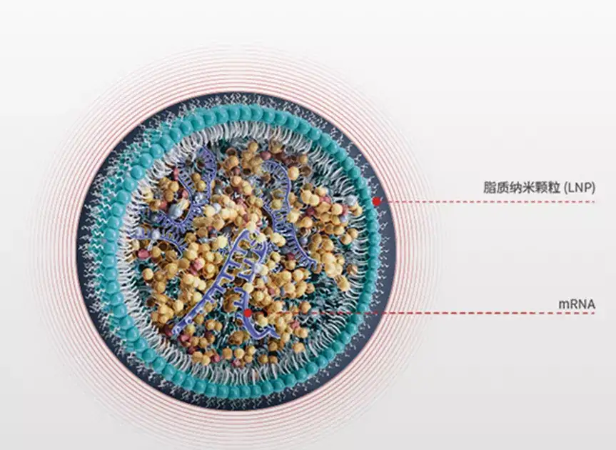 石药集团国产首款 mRNA 疫苗 SYS6006 在中国纳入紧急使用，有何医学意义？哪些信息值得关注？