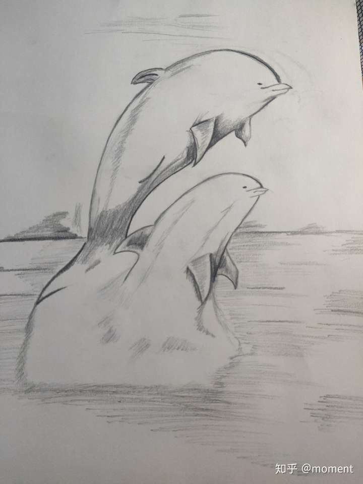 有没有前任3中的海豚画啊