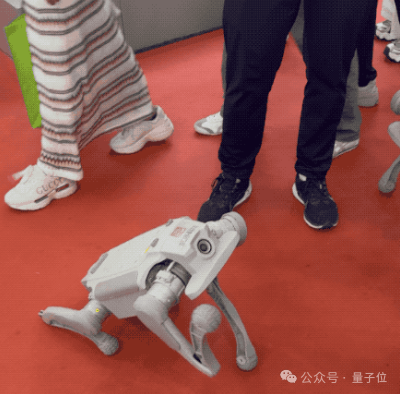 一文看尽世界机器人大会，不用去现场人挤人了