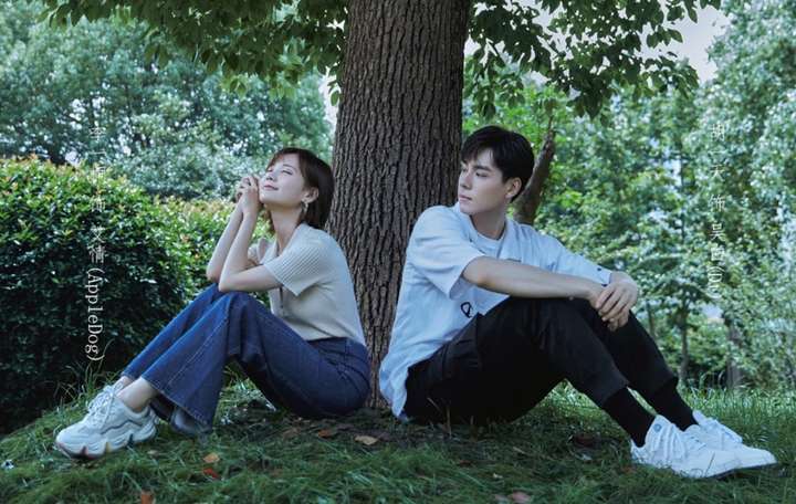 胡一天/李一桐/李明德/许乐骁/王安宇/庞瀚辰/王可如/李现/杨紫类型