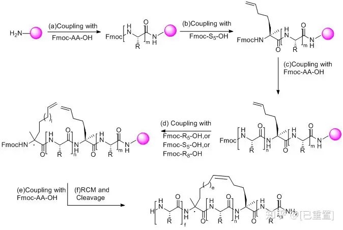 图片[3]-多肽合成-多肽合成的方法有哪些？-Hypeptide