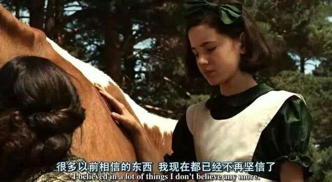 有哪些很委屈的文案说说:为什么花都枯萎了才知道回来浇水呢。插图1 有哪些很委屈的文案说说:为什么花都枯萎了才知道回来浇水呢。插图1