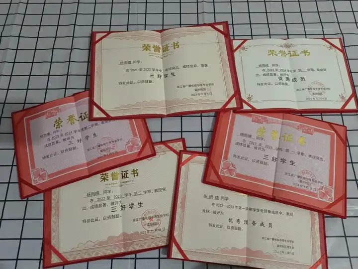 笃志前进 启航梦想| 富阳校区国家奖学金获得者杨雨晴同学风采展示(图4)