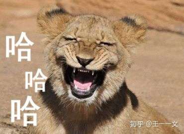 你做了什么事情让大家笑疯