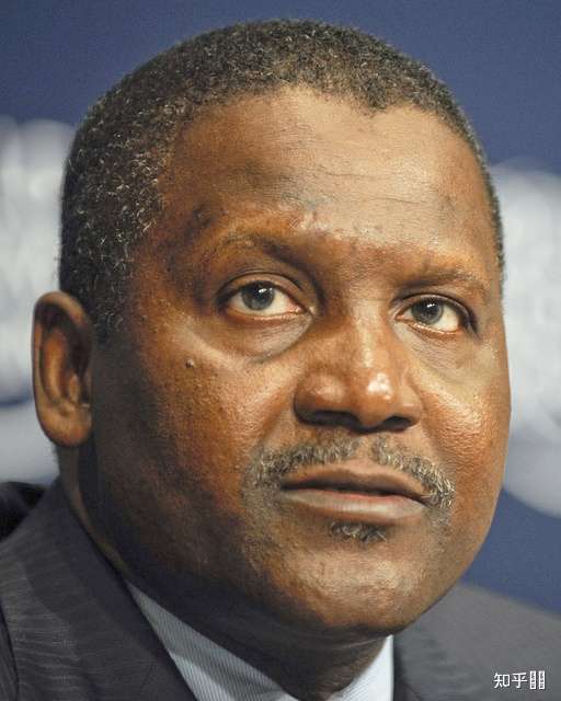 阿里科·丹格特(aliko dangote)——119亿美元