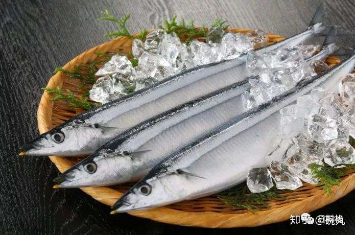 水针鱼 记一位腹黑而貌美的体操运动员 知乎