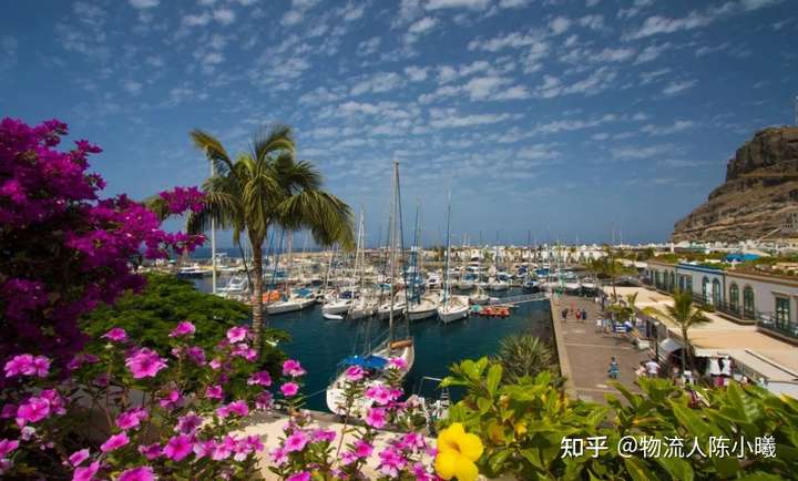 v2-45ed6f150d6c3a4581343cf41b676f68_720w