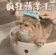 国产Deep Research杀出一匹「裸奔」黑马：免费开放，过程透明，网页报告一键即出