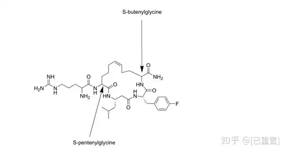 图片[4]-多肽合成-多肽合成的方法有哪些？-Hypeptide