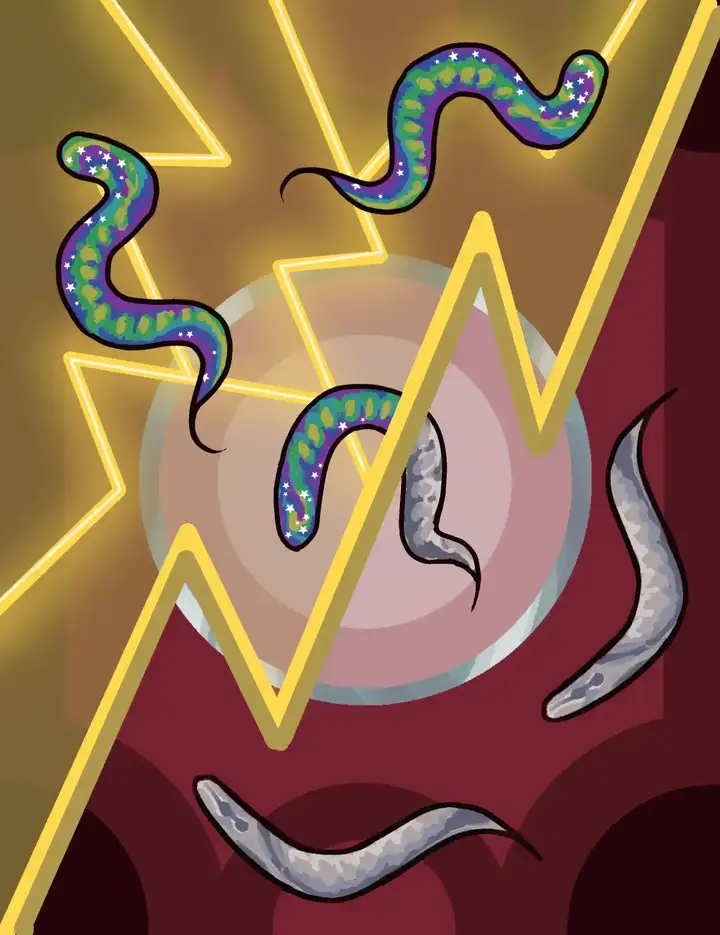 科学家发现蠕虫也可能有"情感" 短时间内影响行为 - 知乎