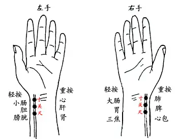 寸口寸再顺带说一下:政,正 攴(pū,手持着戒尺),《说文》解释:"政,正