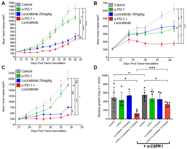 C/EBPβ 肽拮抗劑 Lucicebtide 誘導(dǎo)巨噬細(xì)胞向促炎表型極化并增強(qiáng)抗腫瘤免疫反應(yīng)