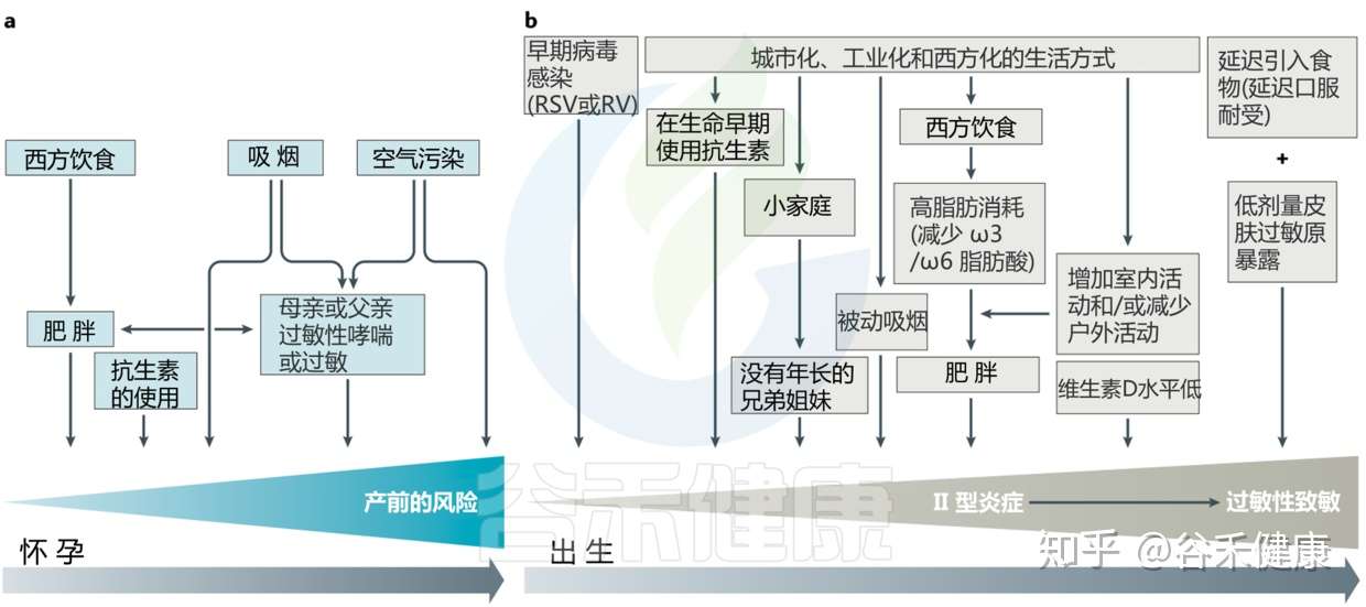 生命早期微生物接触和过敏风险 如何预防 知乎 生命早期微生物接触和过敏风险 如何预防 知乎