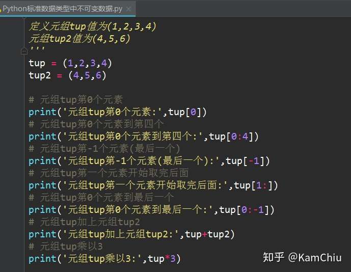 Python如何定义变量 不可变数据 数字 字符串 元组详解 知乎