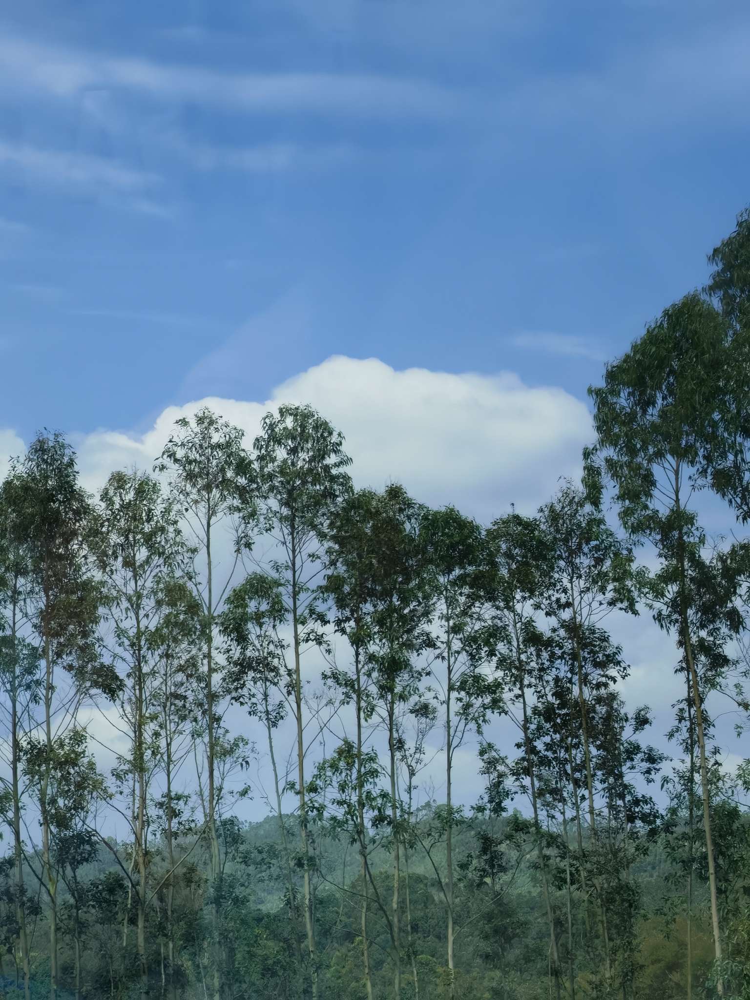 政经魏 的想法: #春运路上的风景# 现在的交通非常发达,… - 知乎