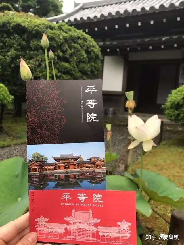 京都宇治 雨后紫阳花 知乎