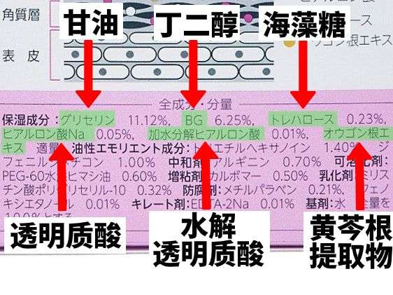 日本美容科医生 手把手教你选all In One多效面霜 知乎