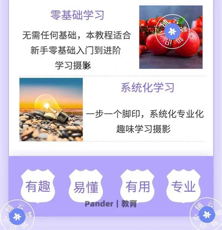 图片[4]-零基础单反相机摄影教程-微单拍照视频入门技巧人像构图后期网课【电商热销585】-暗冰资源网