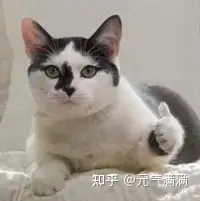 飞机杯和手冲对身体关于飞机杯和倒模的那些你不知道的知识