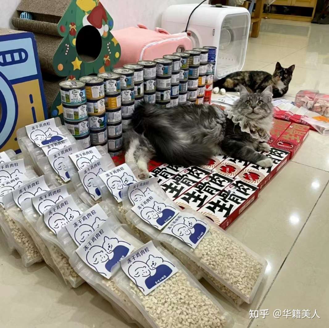 亲测靠谱的猫车群 让你直接省下大几千 知乎